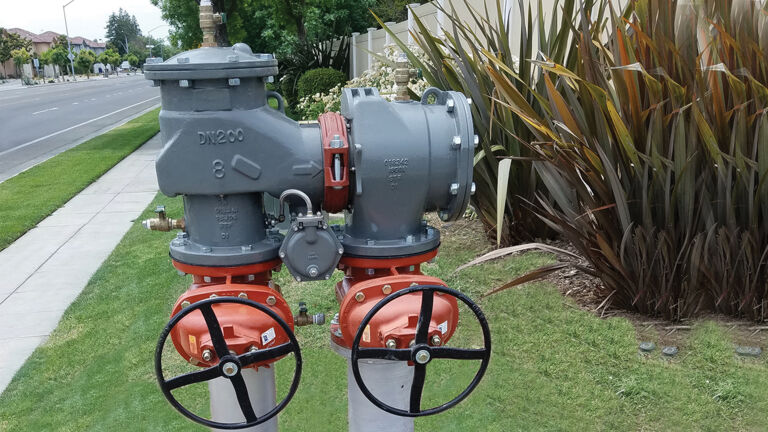 A master series backflow preventer 